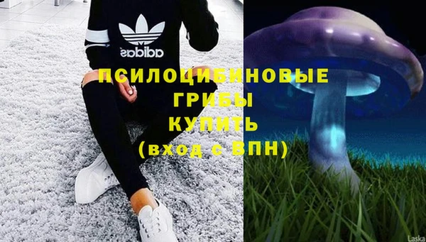 эйфоретик Армянск