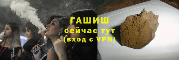шишки Аркадак