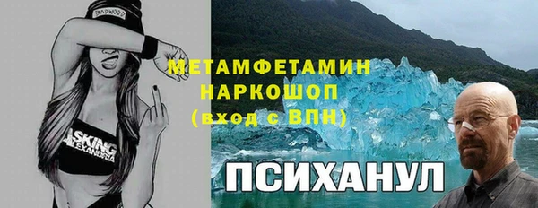 шишки Аркадак