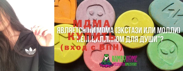 гидра Арсеньев
