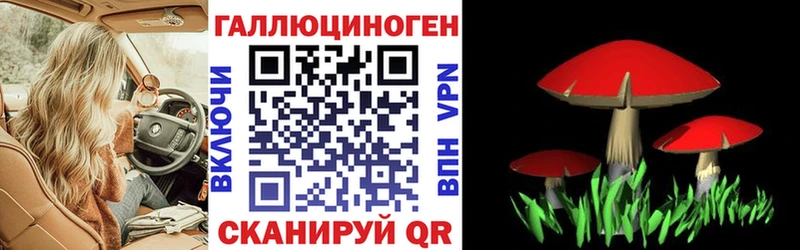 Псилоцибиновые грибы Psilocybine cubensis  мега вход  Туринск 